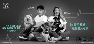 JCD-PAWS UNITED_12s