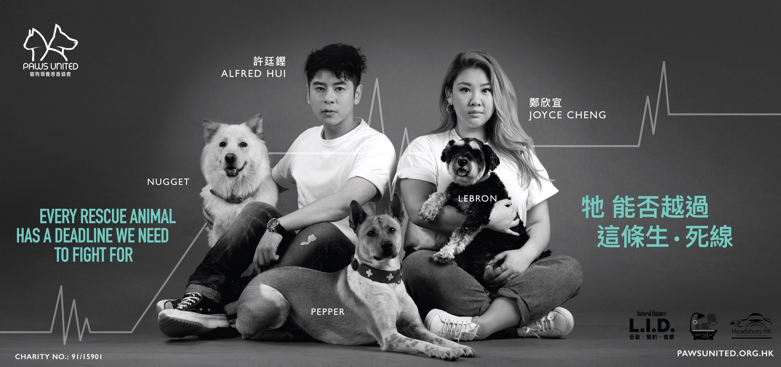 JCD-PAWS UNITED_12s