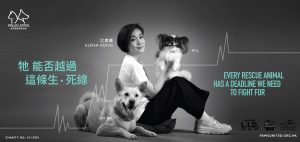 JCD-PAWS UNITED_12s