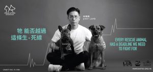 JCD-PAWS UNITED_12s