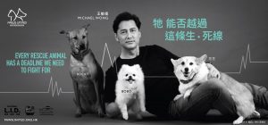 JCD-PAWS UNITED_12s