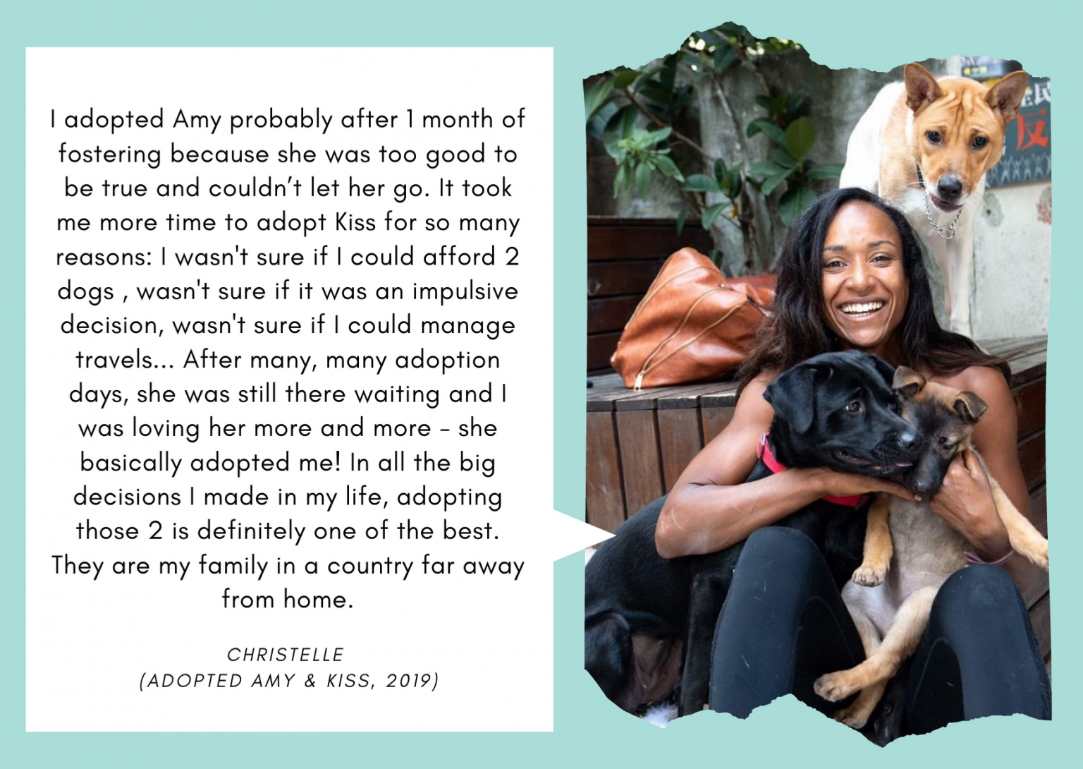 Adoption Stories – PAWS UNITED CHARITY